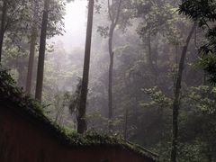 -青城山