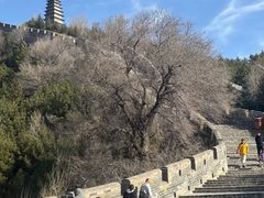 -雁门关景区