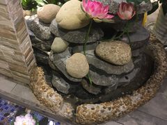 -蕃茄述·好汤自然来(江汉路店)
