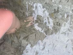 -碧水湾温泉