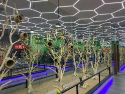 -未来动物城主题公园(正弘城店)