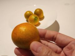 -炳胜公馆(珠江新城店)