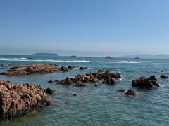-小麦岛公园