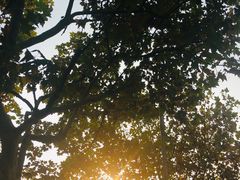 -上海市徐汇区口腔医院
