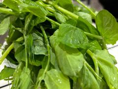 -海关荤豆花(洋河一路店)