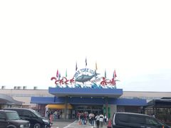 -海鮮寿司とれとれ市場