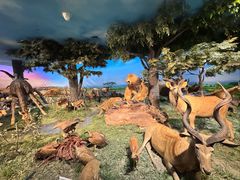 -国家自然博物馆