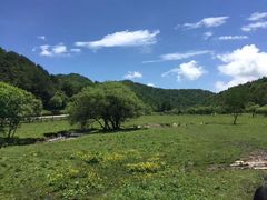 景点-大水川景区