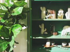-拾壹cafe·工作室