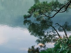 -深圳仙湖植物园