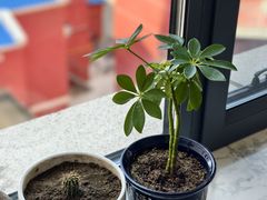 -贝尔大酒店(海拉尔伊仕丹购物广场店)