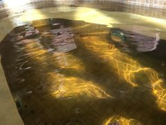 -中家鑫园温泉酒店鑫悦汤泉