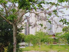 -四海公园(南山区)