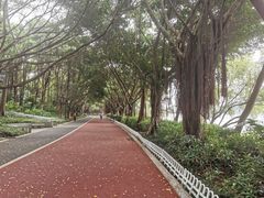 -南宁南湖公园