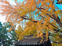 -浮来山风景区