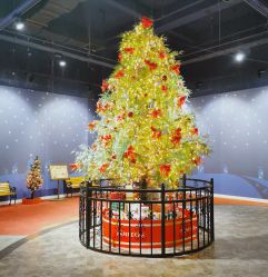 -幻贝家儿童乐园(温州银泰城店)