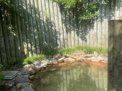 -张家港金凤凰度假村温泉