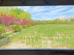 -永定河休闲森林公园