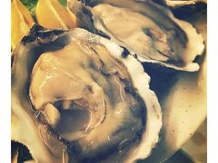 生蚝-金海阁海鲜火锅