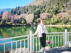 -蝴蝶泉公园
