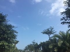 -海口万豪·大堂吧·望海吧.日落海景·下午茶·奶茶·咖啡·轻食·蛋糕·鸡尾酒·清吧