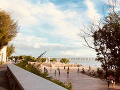 -宝安西湾红树林湿地公园