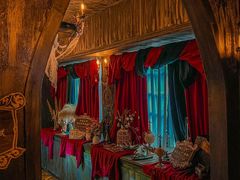 -雪灵魔法世界SHELLY’S TAROT(大良桂畔里店)