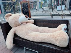 -孟林厨房(798店)