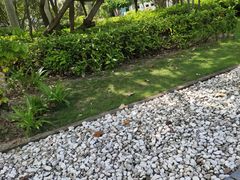 -东山珍珠岛
