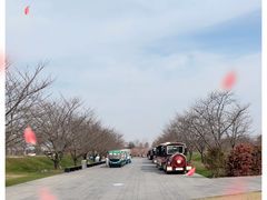 -上海辰山植物园