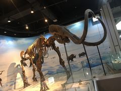 -辽宁古生物博物馆