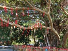 -梅州天地人花园酒店(梅县人民广场店)