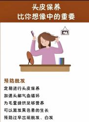 -木北造型