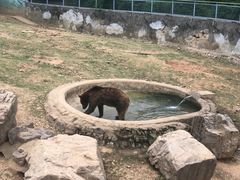-无锡动物园·太湖欢乐园