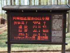 -日照海滨国家森林公园