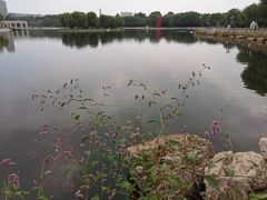 -长春世界雕塑园冰雪艺术天地