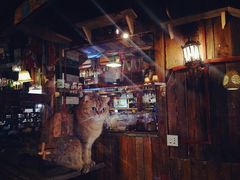 -壹六猫窝(谷德店)