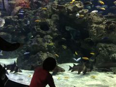 -成都浩海立方海洋公园