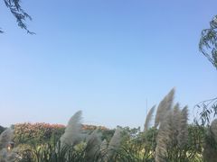 -南湖湿地公园
