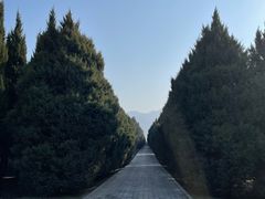 -秦始皇帝陵博物院-丽山园