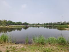 -永定河休闲森林公园