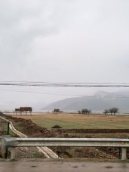 -纳帕海依拉草原