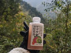 -龙窝子