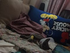 -佳怡动物医院·平价24小时·猫专科骨外科