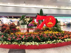 -上海浦东国际机场-T2航站楼