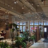 鲁哥饭店：太平老街的下饭王者！
