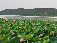 -云龙湖旅游景区