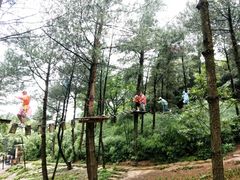 -梦幻奥陶纪景区