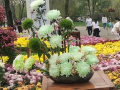 -沈阳植物园