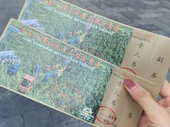 -千佛山风景名胜区